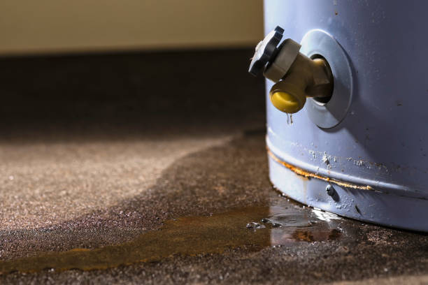 Best 24-hour water damage restoration  in Penns Grove, NJ