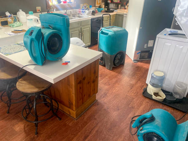 Best Mold removal after water damage  in Penns Grove, NJ