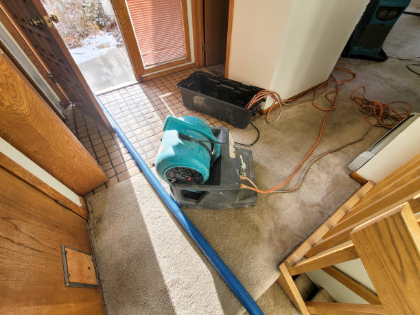 Best Carpet water damage restoration  in Penns Grove, NJ
