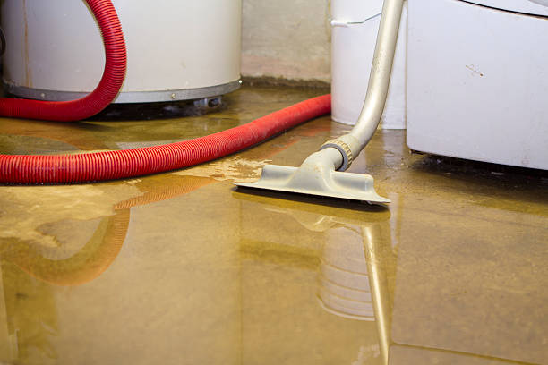 Best Local water damage restoration  in Penns Grove, NJ