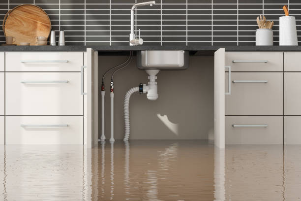 Best Local water damage restoration  in Penns Grove, NJ