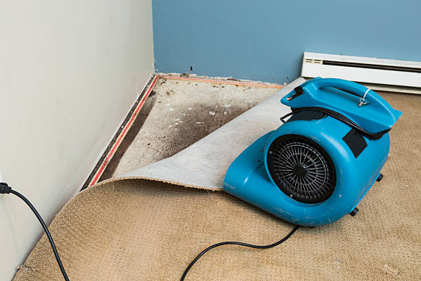 Best Emergency water damage restoration  in Penns Grove, NJ